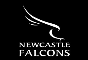 Falcons