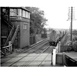 train